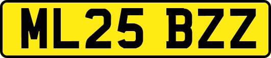 ML25BZZ