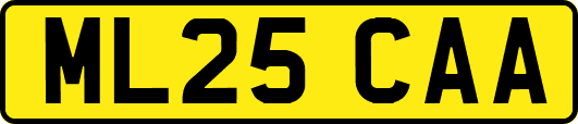 ML25CAA