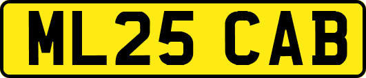 ML25CAB
