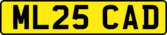 ML25CAD