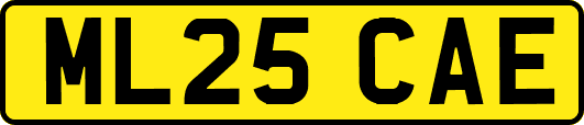 ML25CAE