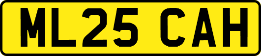 ML25CAH