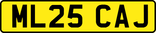 ML25CAJ