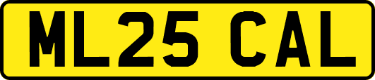 ML25CAL