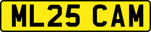 ML25CAM
