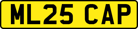 ML25CAP