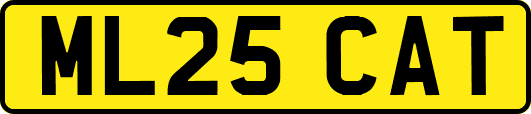 ML25CAT