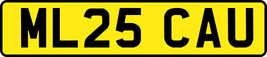 ML25CAU