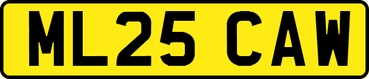 ML25CAW