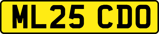 ML25CDO