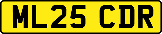 ML25CDR