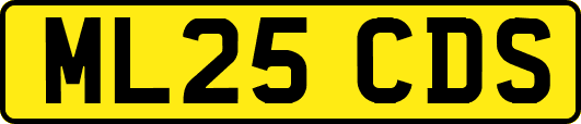 ML25CDS