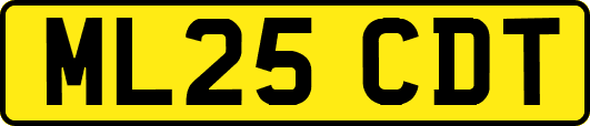 ML25CDT