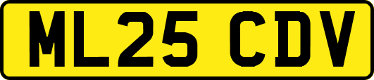 ML25CDV