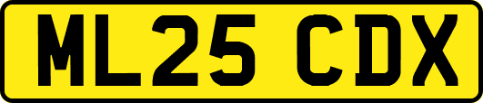 ML25CDX