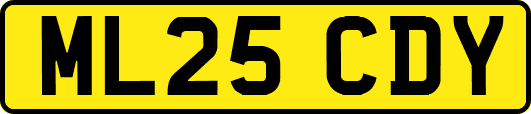 ML25CDY