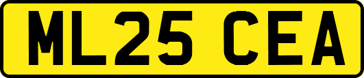 ML25CEA