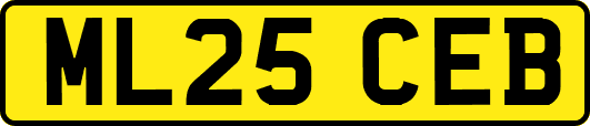 ML25CEB