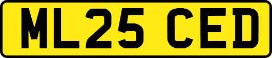 ML25CED