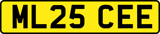 ML25CEE