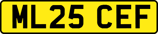ML25CEF