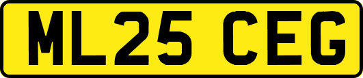 ML25CEG