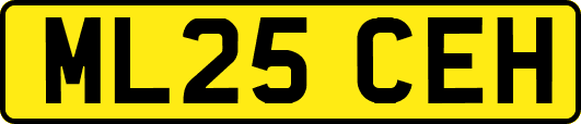 ML25CEH