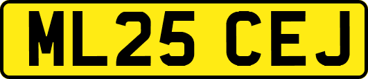 ML25CEJ