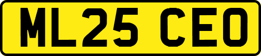 ML25CEO