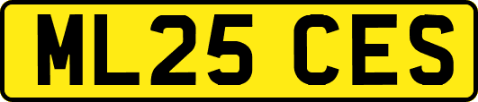 ML25CES