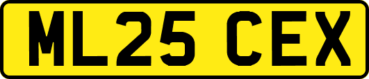 ML25CEX