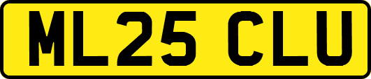 ML25CLU