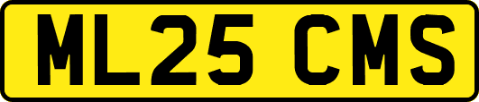 ML25CMS