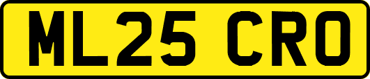ML25CRO