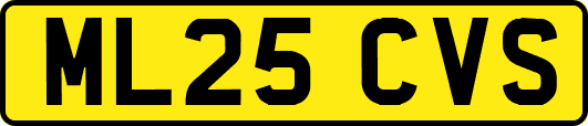 ML25CVS