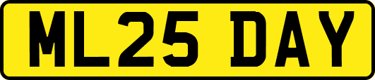 ML25DAY