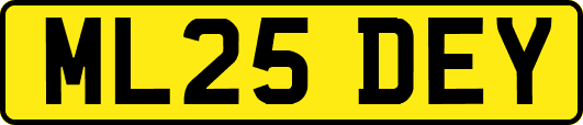 ML25DEY