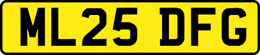 ML25DFG