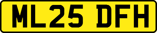 ML25DFH