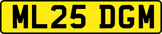 ML25DGM