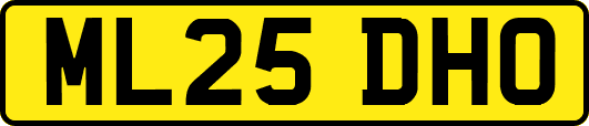ML25DHO