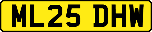 ML25DHW