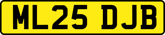 ML25DJB