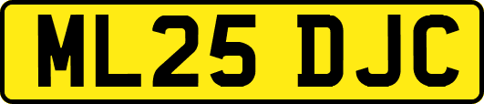 ML25DJC