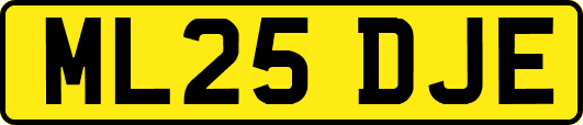 ML25DJE