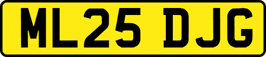 ML25DJG