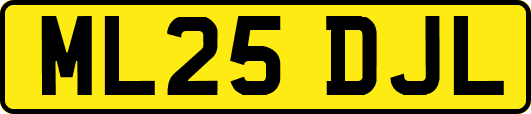 ML25DJL
