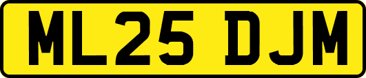 ML25DJM