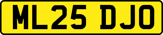 ML25DJO