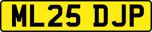 ML25DJP